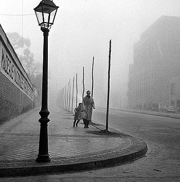 L'ombra del vento